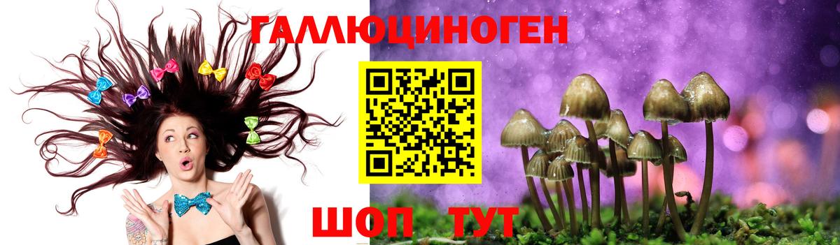 Казань  Псилоцибиновые грибы GOLDEN TEACHER  Вход с VPN 